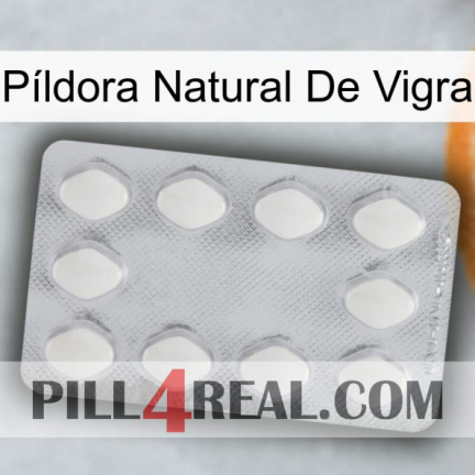 Píldora Natural De Vigra 16